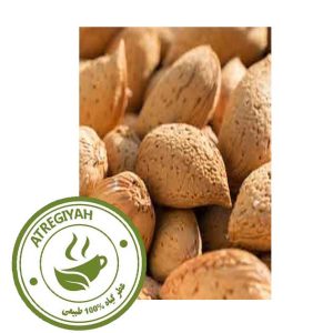 بادام تلخ درختی